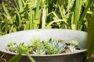 Guest Urban Hotel Design Pinheiros