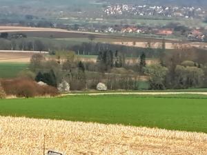 Zur schönen Aussicht