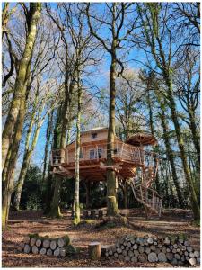 Lodges Les hebergements insolites de Quenecan : Chambre Double Familiale