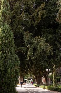 Luxury Sunset Beach Apartments