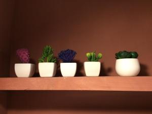 Le Stalle del Seminario