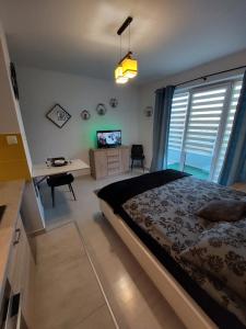 Apartament Olif