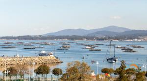 Apartamento sol e lua en el centro de O Grove