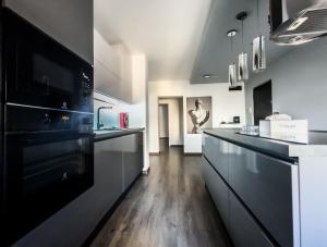 Majestic BIG apartment