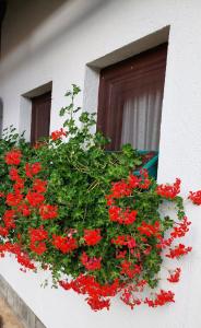 Kuća za odmor Zlatiborska zora