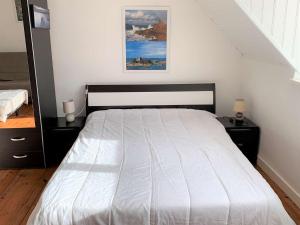 Maisonnette bretonne 100m de la mer avec jardin à TREGASTEL - Réf 18