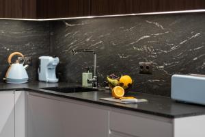 Scala 60D City Center Apartments with Parking by Lion Apartments