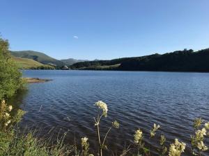 Mont-Dore : Appartement T2 avec balcon et WiFi - FR-1-608-267