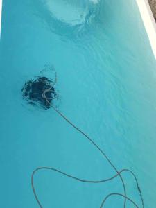 Villas Villa charmante avec piscine a Saint-Gilles : photos des chambres