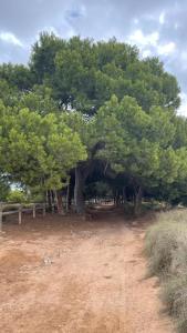 Casa De La Luna Torrevieja