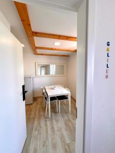 Old Piran Galileo Terrace