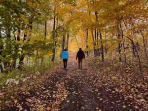 Escape to Nature and Lake views Studio Style Rooms