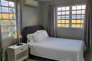 Coamo Beautiful house, AC, 10min Coamo hot springs