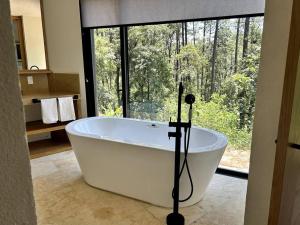 Suite boutique Oyamel en Avándaro, Valle de Bravo