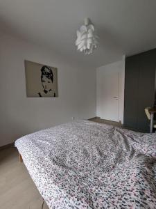 Appartements Le Doran Familial Parking WIFI : photos des chambres
