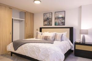 Homero 538: Apartamentos Equipados en Polanco