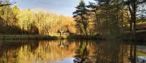Maisons d'hotes Le Petit Lac : photos des chambres