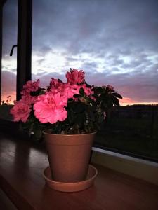 Mapperton Barn House B&B Nr Stourhead & Longleat
