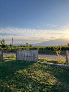 Gran Casa Vino Andino