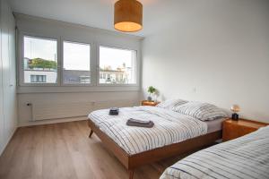 Spacious apartment next to Rhine