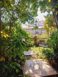 En el corazón del Cerro Concepción