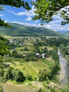 Rest гори 360 чан форель харчування