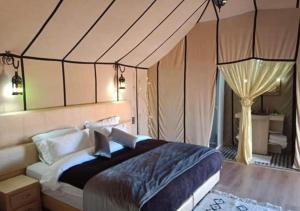 Amazing Luxury Camp