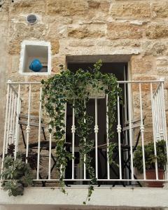 Il Balconcino nel Vicolo Short Lets