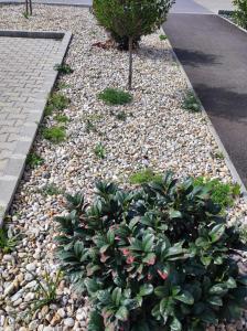 Apartman Aranyhal City