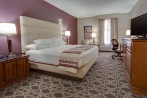 Superior King Room room in Drury Inn & Suites Las Cruces