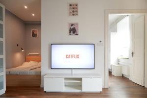 Springfield Kitty Kingdom