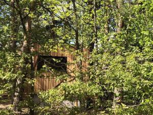 Appartements Holiday home under the trees : photos des chambres