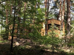 Appartements Holiday home under the trees : photos des chambres