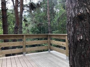 Appartements Holiday home under the trees : photos des chambres