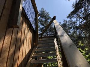 Appartements Holiday home under the trees : photos des chambres