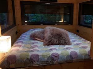 Appartements Holiday home under the trees : photos des chambres