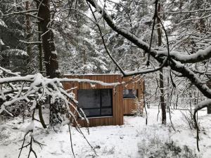 Appartements Holiday home under the trees : photos des chambres