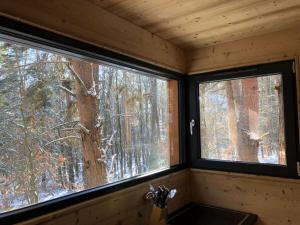 Appartements Holiday home under the trees : photos des chambres