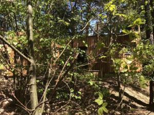 Appartements Holiday home under the trees : photos des chambres