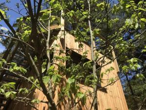 Appartements Holiday home under the trees : photos des chambres