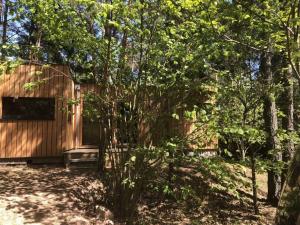 Appartements Holiday home under the trees : photos des chambres