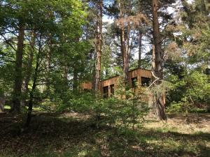 Appartements Holiday home under the trees : photos des chambres