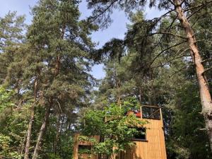 Appartements Holiday home under the trees : photos des chambres