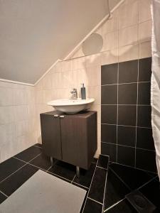 Apartments with parking space Sisak, Moslavina - 22670