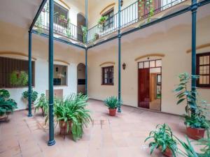 MonKeys Apartments Castilla Triana