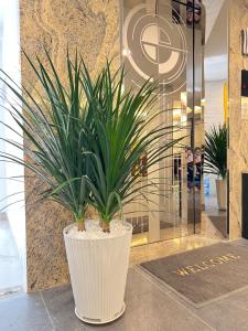 Riverside house Quận Phú Nhuận