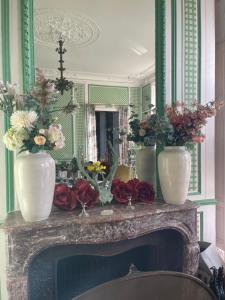 B&B / Chambres d'hotes Chateau de Freschines : photos des chambres