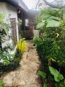 LAKE AND LAKE HOMESTAY