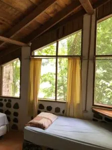 Jungle River Lodge - Agua Caliente