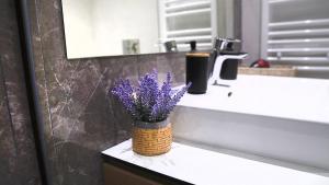 Belgrade Waterfront Comfortable Apartment